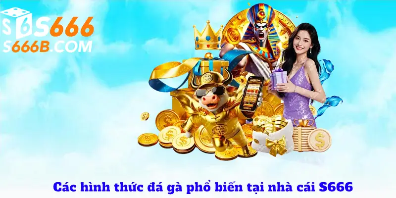 So sánh sảnh đá gà của nhà cái S666 với nền tảng khác